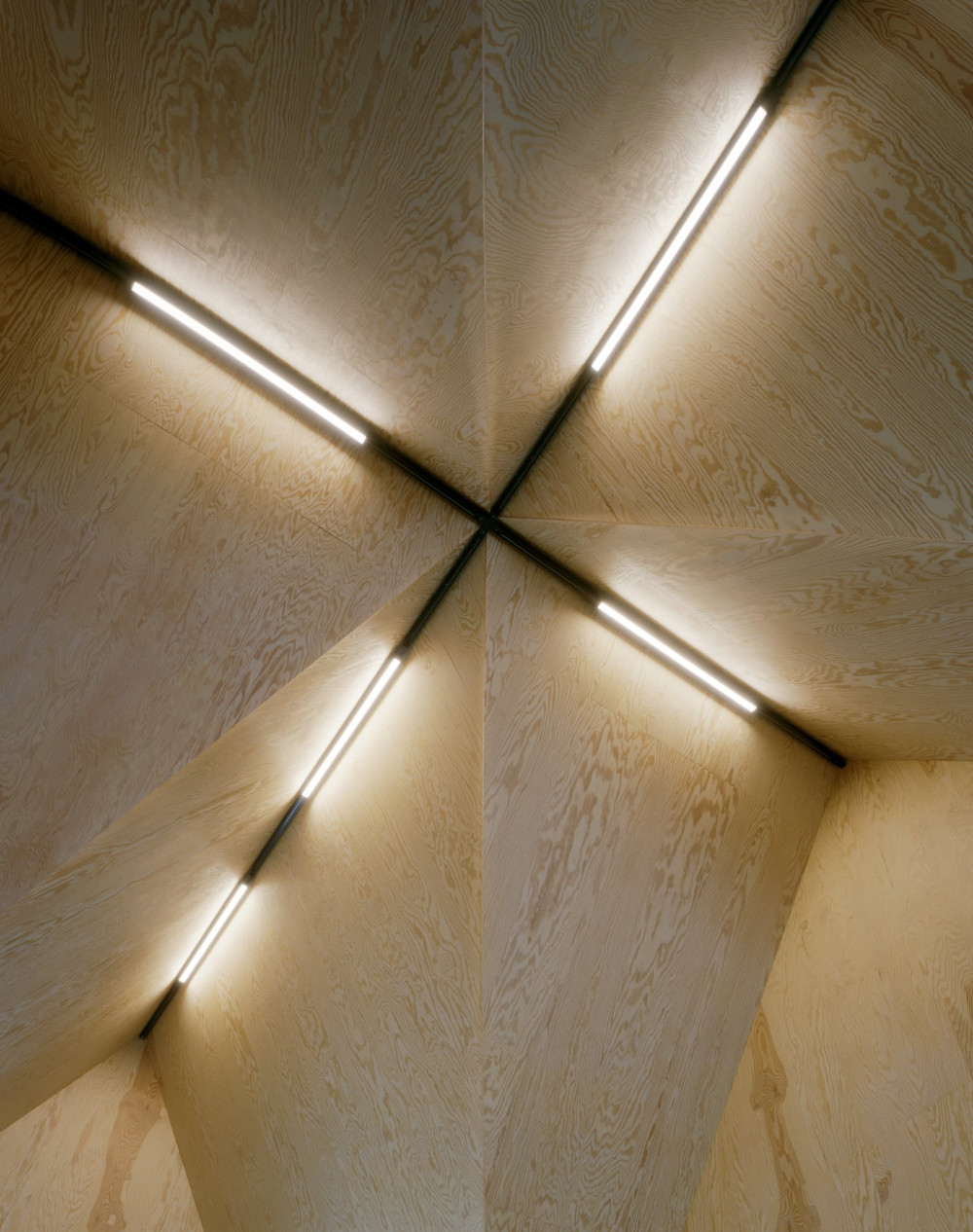 Waldhaus | Büro Voigt